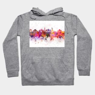 Delhi skyline in watercolor Hoodie